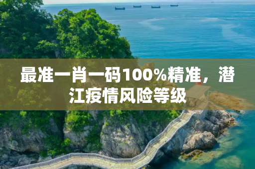 最准一肖一码100%精准，潜江疫情风险等级