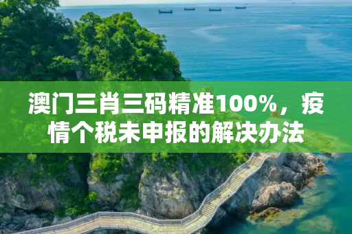 澳门三肖三码精准100%，疫情个税未申报的解决办法