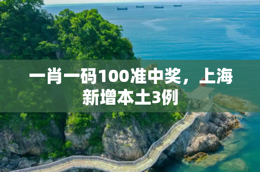 一肖一码100准中奖，上海新增本土3例