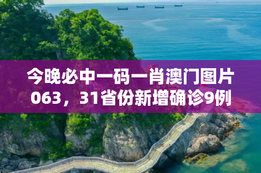 今晚必中一码一肖澳门图片063，31省份新增确诊9例