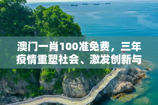 澳门一肖100准免费，三年疫情重塑社会、激发创新与促进人类团结