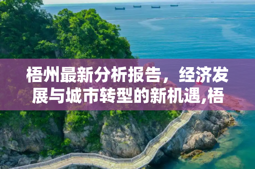 梧州最新分析报告，经济发展与城市转型的新机遇,梧州最新分析报告
