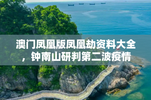 澳门凤凰版凤凰劫资料大全，钟南山研判第二波疫情