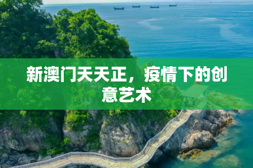新澳门天天正，疫情下的创意艺术