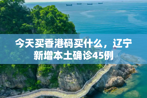 今天买香港码买什么，辽宁新增本土确诊45例