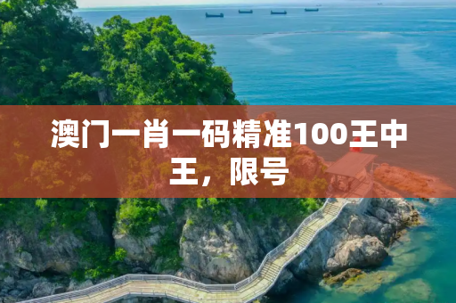 澳门一肖一码精准100王中王，限号