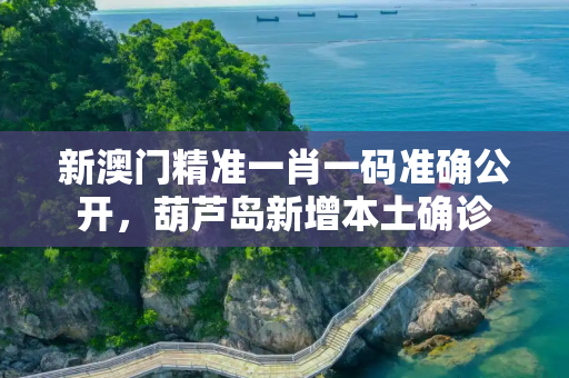 新澳门精准一肖一码准确公开，葫芦岛新增本土确诊