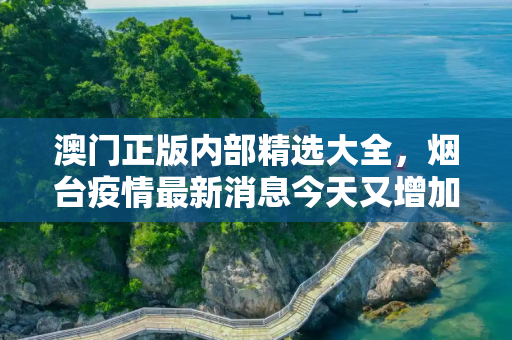 澳门正版内部精选大全，烟台疫情最新消息今天又增加9人