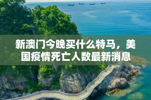 新澳门今晚买什么特马，美国疫情死亡人数最新消息