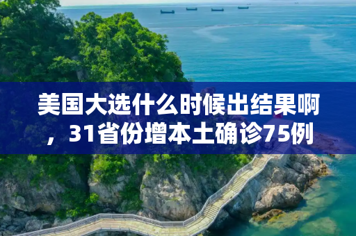 美国大选什么时候出结果啊，31省份增本土确诊75例涉11省市