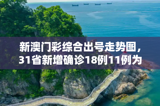 新澳门彩综合出号走势图，31省新增确诊18例11例为本土