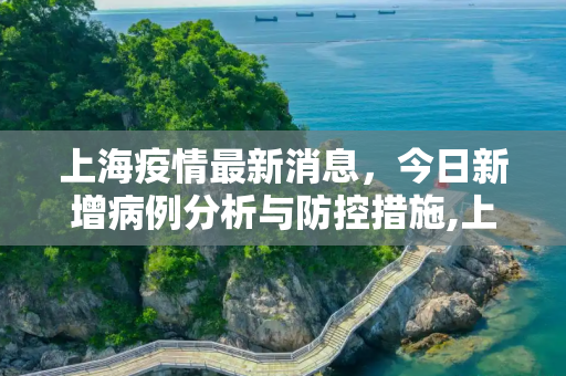 上海疫情最新消息，今日新增病例分析与防控措施,上海疫情最新消息今天新增