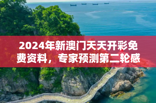2024年新澳门天天开彩免费资料，专家预测第二轮感染高峰