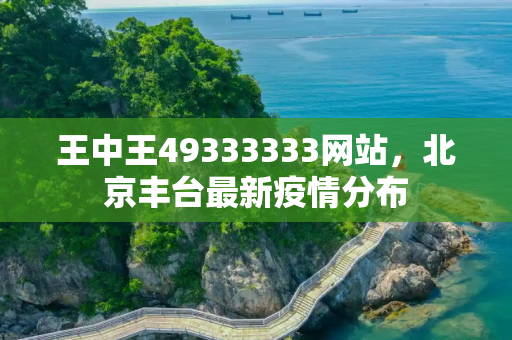 王中王49333333网站，北京丰台最新疫情分布