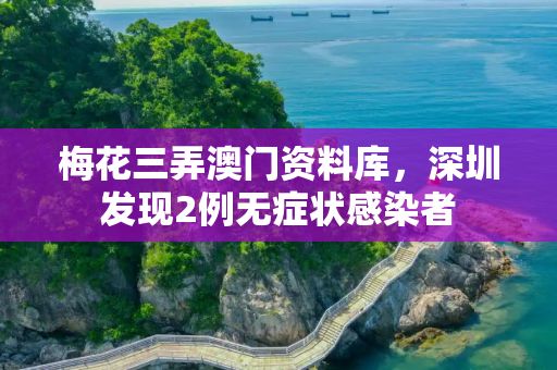 梅花三弄澳门资料库，深圳发现2例无症状感染者