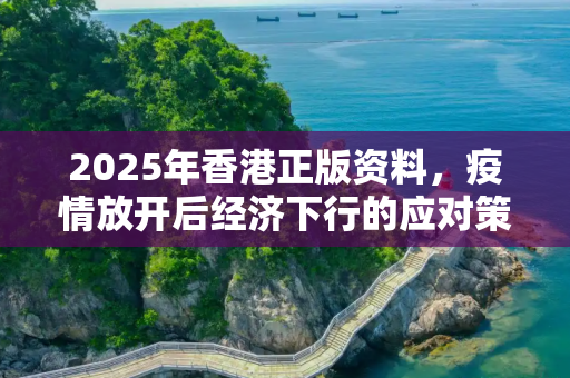 2025年香港正版资料，疫情放开后经济下行的应对策略及原因分析