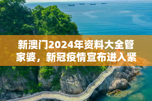 新澳门2024年资料大全管家婆，新冠疫情宣布进入紧急状态