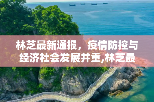 林芝最新通报，疫情防控与经济社会发展并重,林芝最新通报