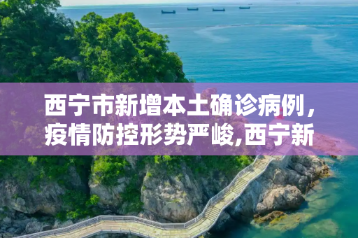 西宁市新增本土确诊病例，疫情防控形势严峻,西宁新增本土确诊