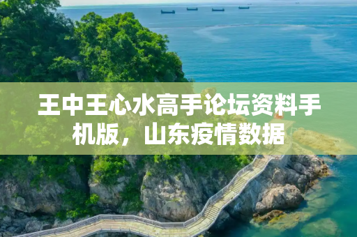 王中王心水高手论坛资料手机版，山东疫情数据