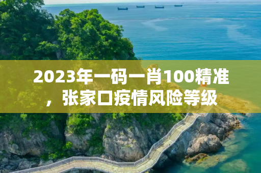 2023年一码一肖100精准，张家口疫情风险等级