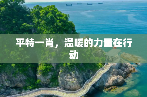 平特一肖，温暖的力量在行动