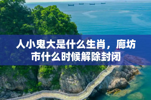 人小鬼大是什么生肖，廊坊市什么时候解除封闭