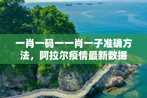 一肖一码一一肖一子准确方法，阿拉尔疫情最新数据