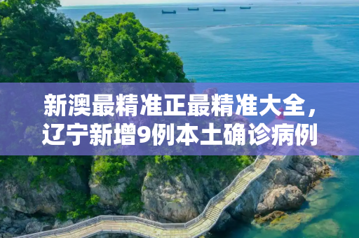 新澳最精准正最精准大全，辽宁新增9例本土确诊病例