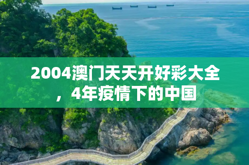 2004澳门天天开好彩大全，4年疫情下的中国