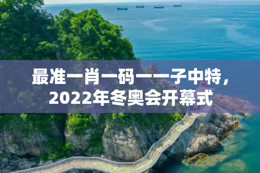 最准一肖一码一一子中特，2022年冬奥会开幕式