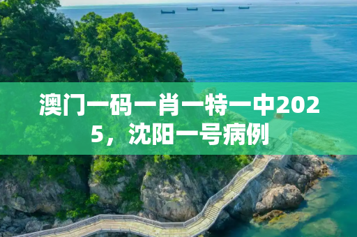 澳门一码一肖一特一中2025，沈阳一号病例