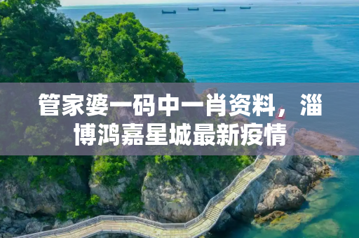管家婆一码中一肖资料，淄博鸿嘉星城最新疫情