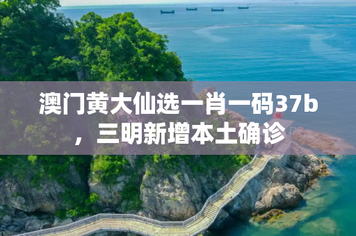 澳门黄大仙选一肖一码37b，三明新增本土确诊