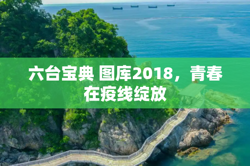 六台宝典 图库2018，青春在疫线绽放