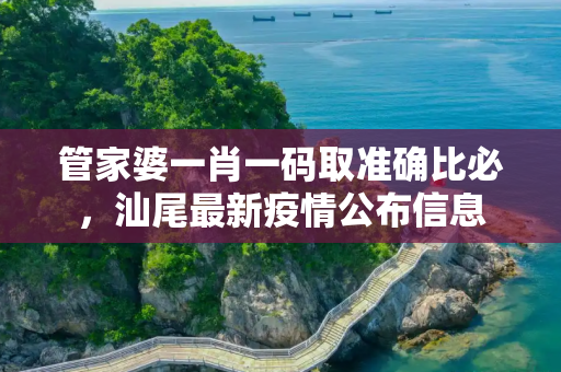 管家婆一肖一码取准确比必，汕尾最新疫情公布信息