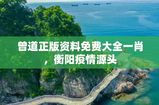 曾道正版资料免费大全一肖，衡阳疫情源头