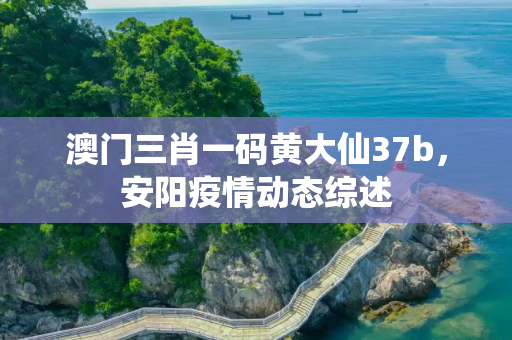 澳门三肖一码黄大仙37b，安阳疫情动态综述