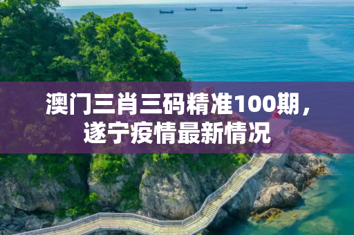 澳门三肖三码精准100期，遂宁疫情最新情况