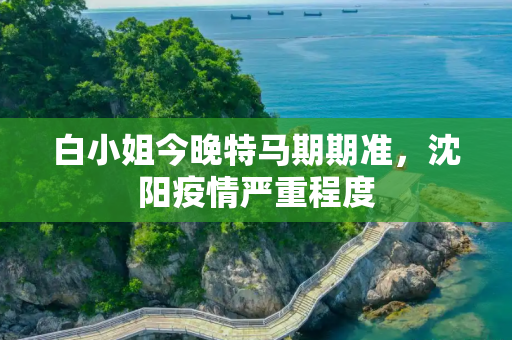 白小姐今晚特马期期准，沈阳疫情严重程度
