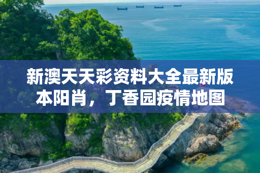 新澳天天彩资料大全最新版本阳肖，丁香园疫情地图