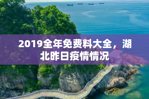 2019全年免费料大全，湖北昨日疫情情况