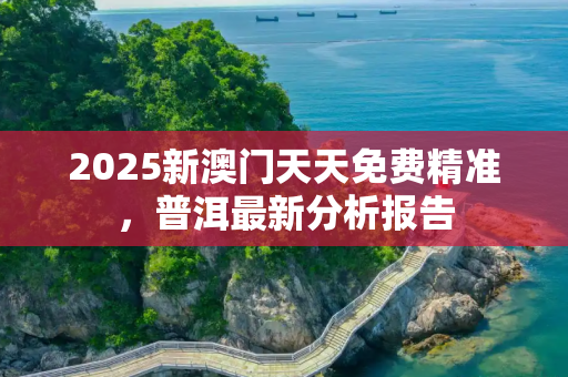 2025新澳门天天免费精准，普洱最新分析报告