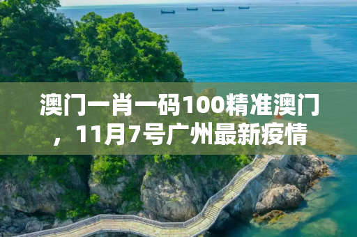 澳门一肖一码100精准澳门，11月7号广州最新疫情