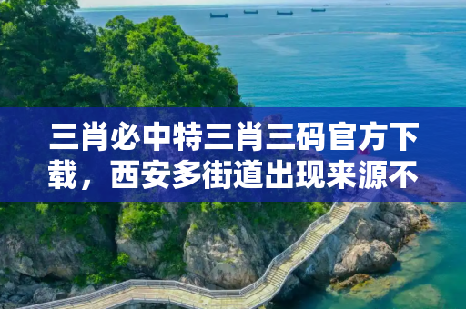三肖必中特三肖三码官方下载，西安多街道出现来源不明病例