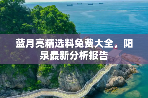 蓝月亮精选料免费大全，阳泉最新分析报告
