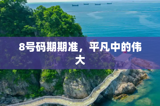 8号码期期准，平凡中的伟大