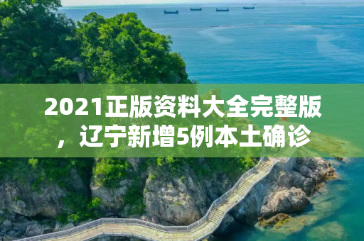 2021正版资料大全完整版，辽宁新增5例本土确诊