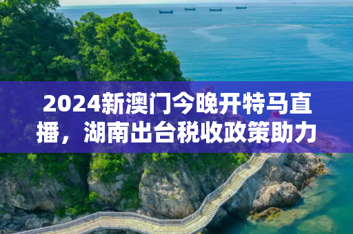 2024新澳门今晚开特马直播，湖南出台税收政策助力企业复苏