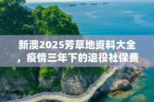 新澳2025芳草地资料大全，疫情三年下的退役社保费